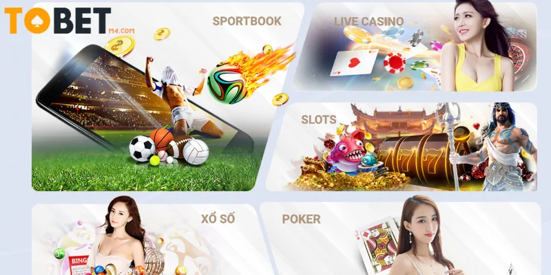Giải Mã Tin Đồn Nhà Cái Tobet88 Lừa Đảo Có Đúng Không? Nhận xét từ người chơi về nhà cái Tobet88